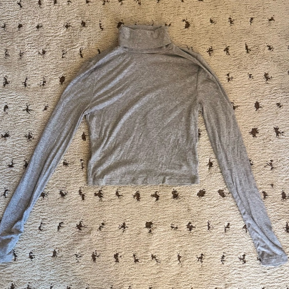 Aritzia cropped turtleneck
